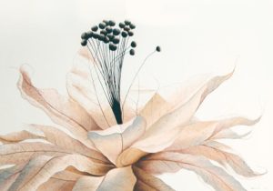 Blume Hintergrund